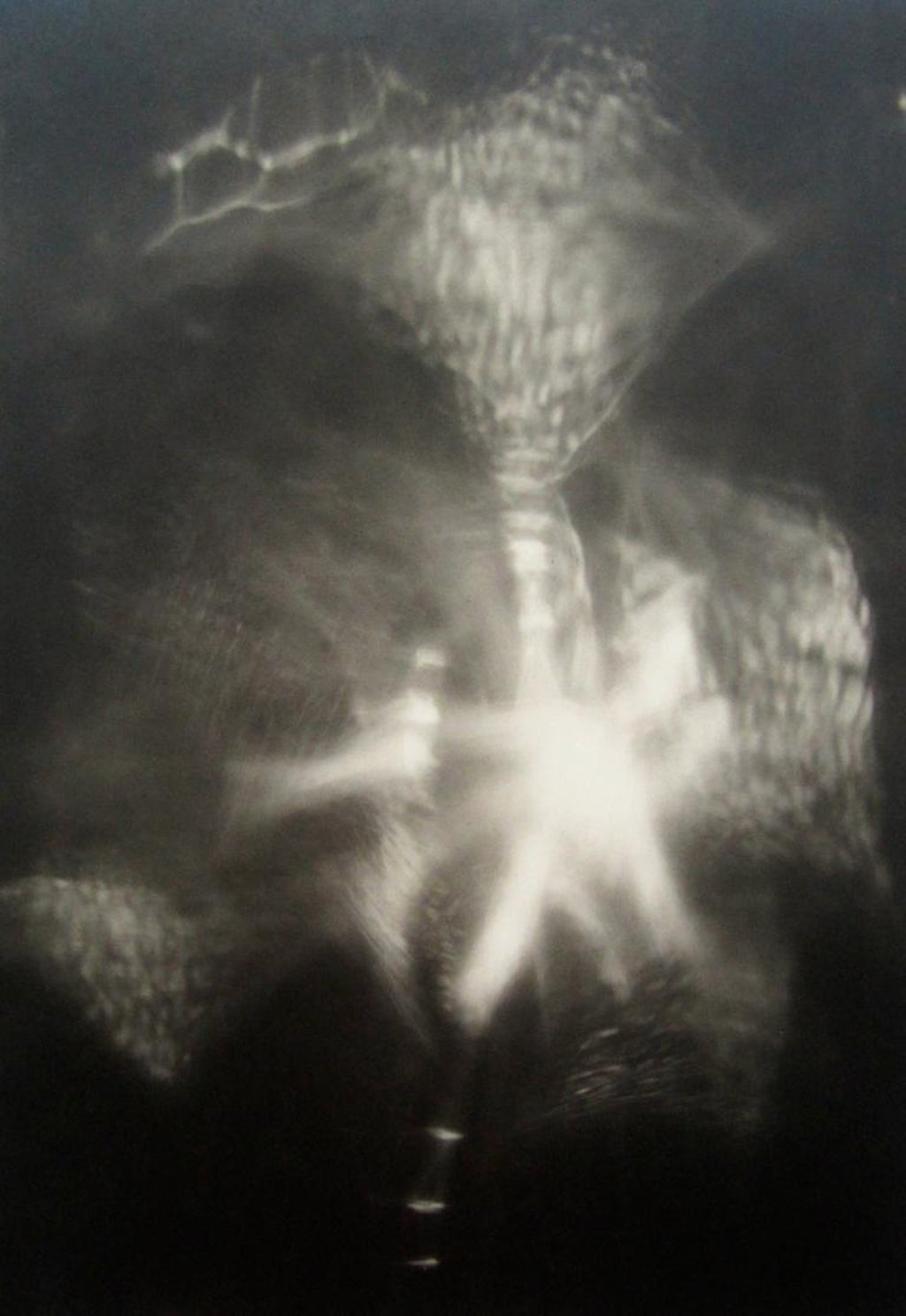 Lights in Motion Photograph Chromo Photo Kodak Professional Endura