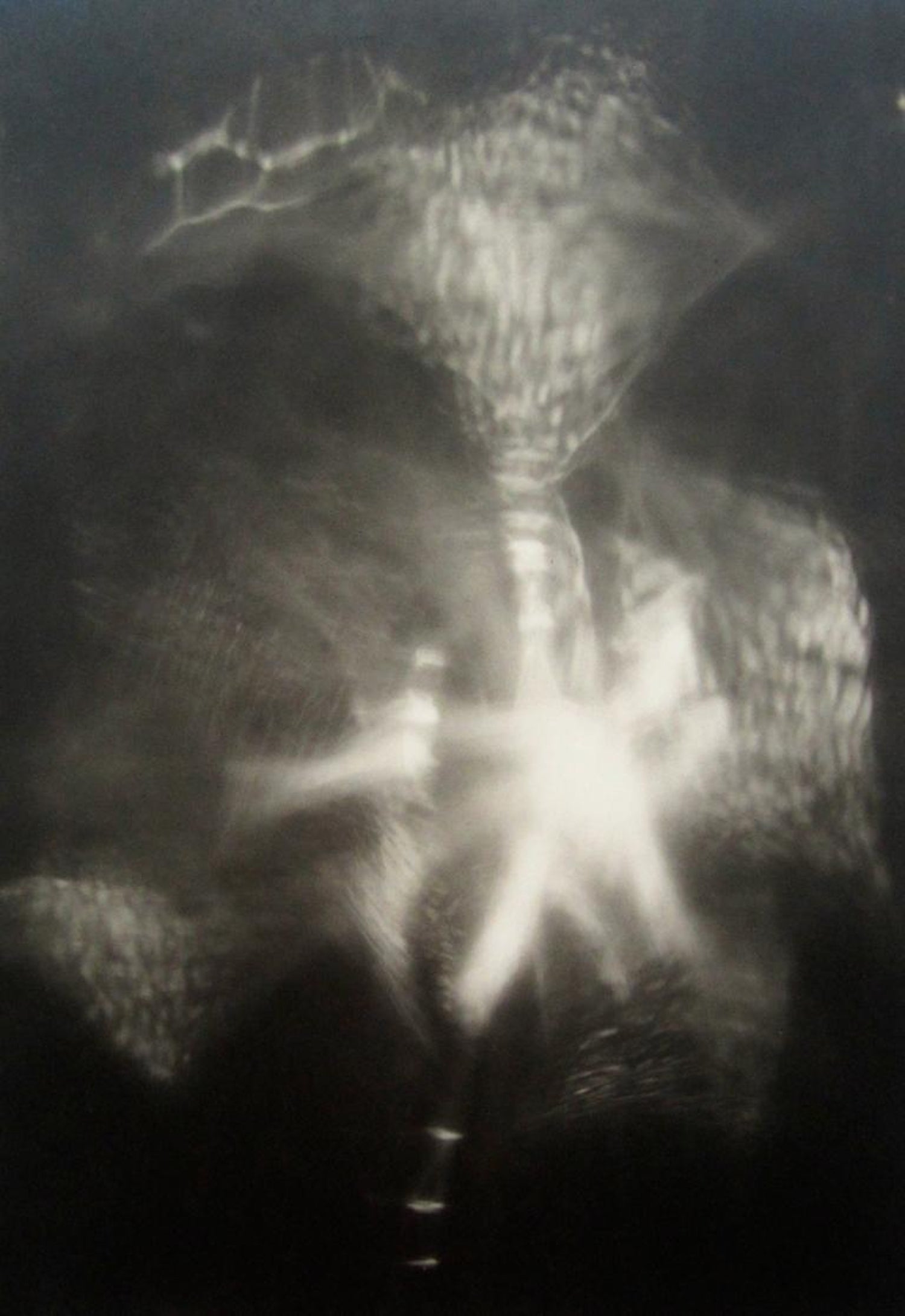 Lights in Motion Photograph Chromo Photo Kodak Professional Endura
