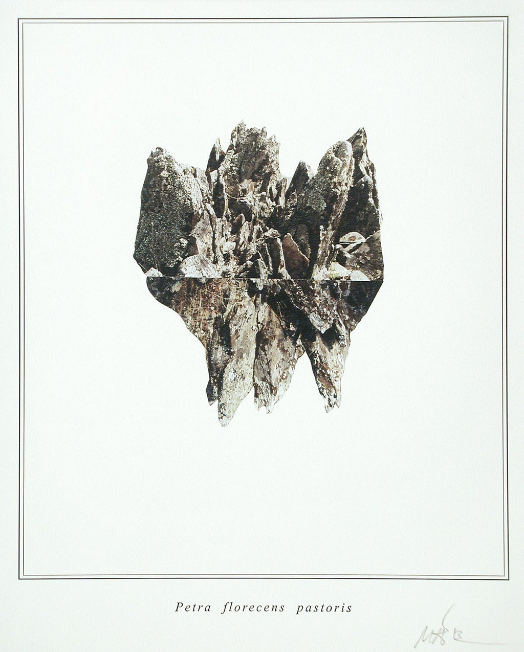 Argentine Italian Ink jet print mounted on polystyrene Fabian Marcaccio Muse X