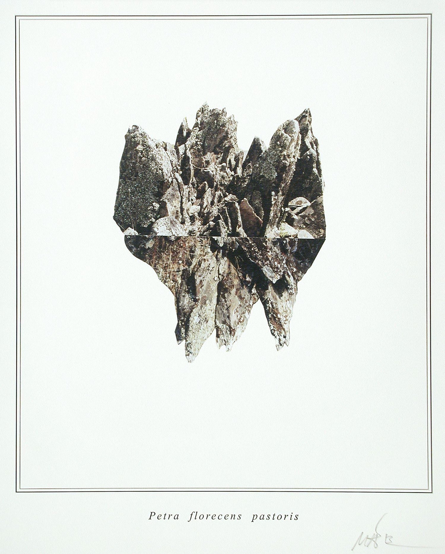 Argentine Italian Ink jet print mounted on polystyrene Fabian Marcaccio Muse X