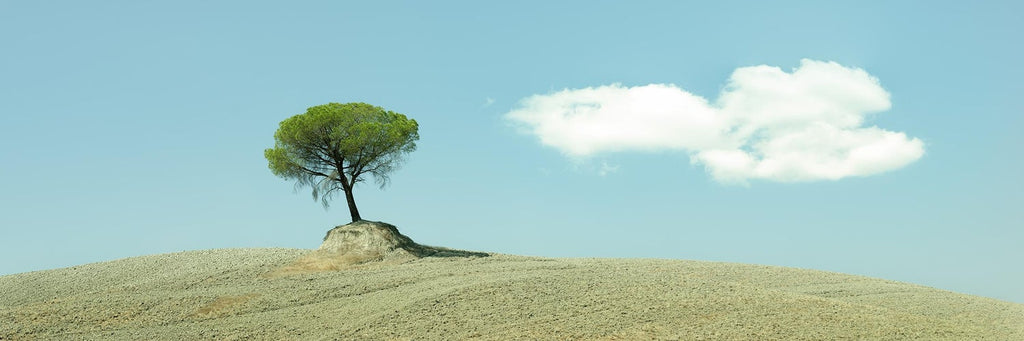 Tuscany, Hillside, 1996