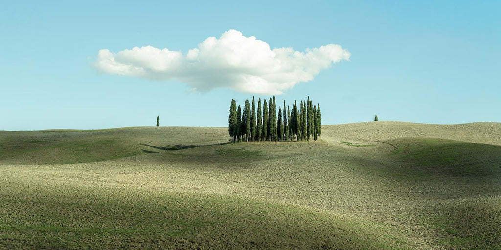 Tuscany, Hillside, 1996