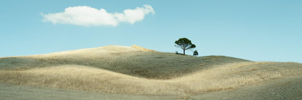 Tuscany, Hillside, 1996