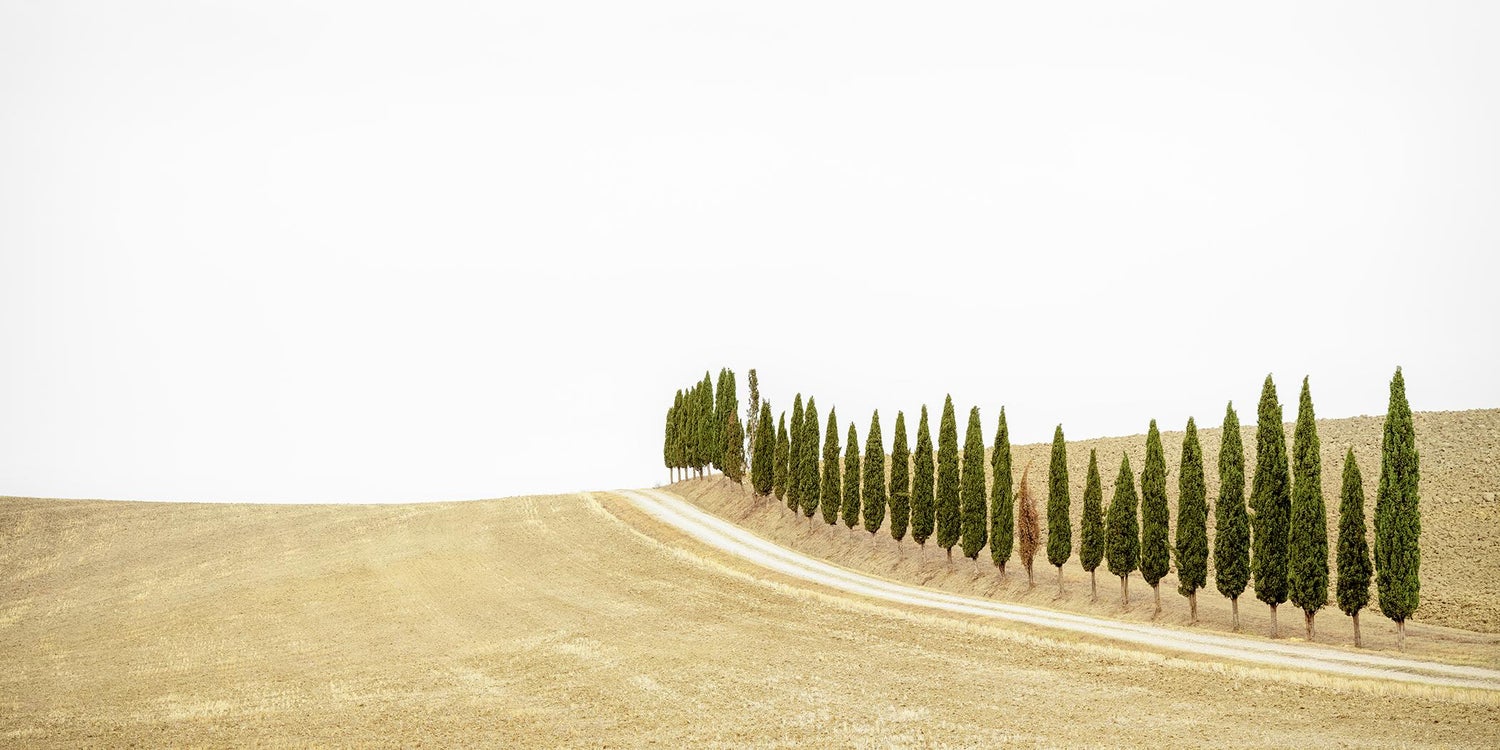 Tuscany, Hillside, 1996