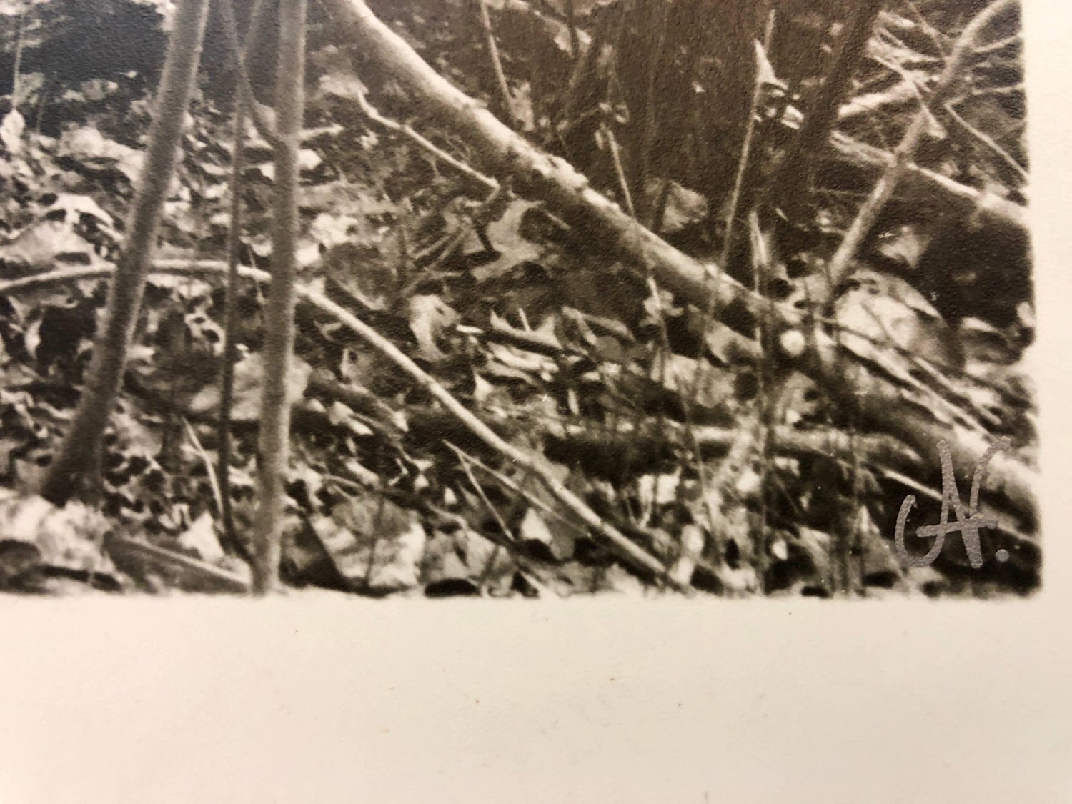 Vintage Silver Gelatin Old Car Wreck Photographer Nona Hatay