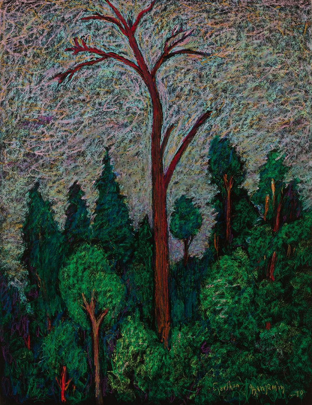 Night Trees