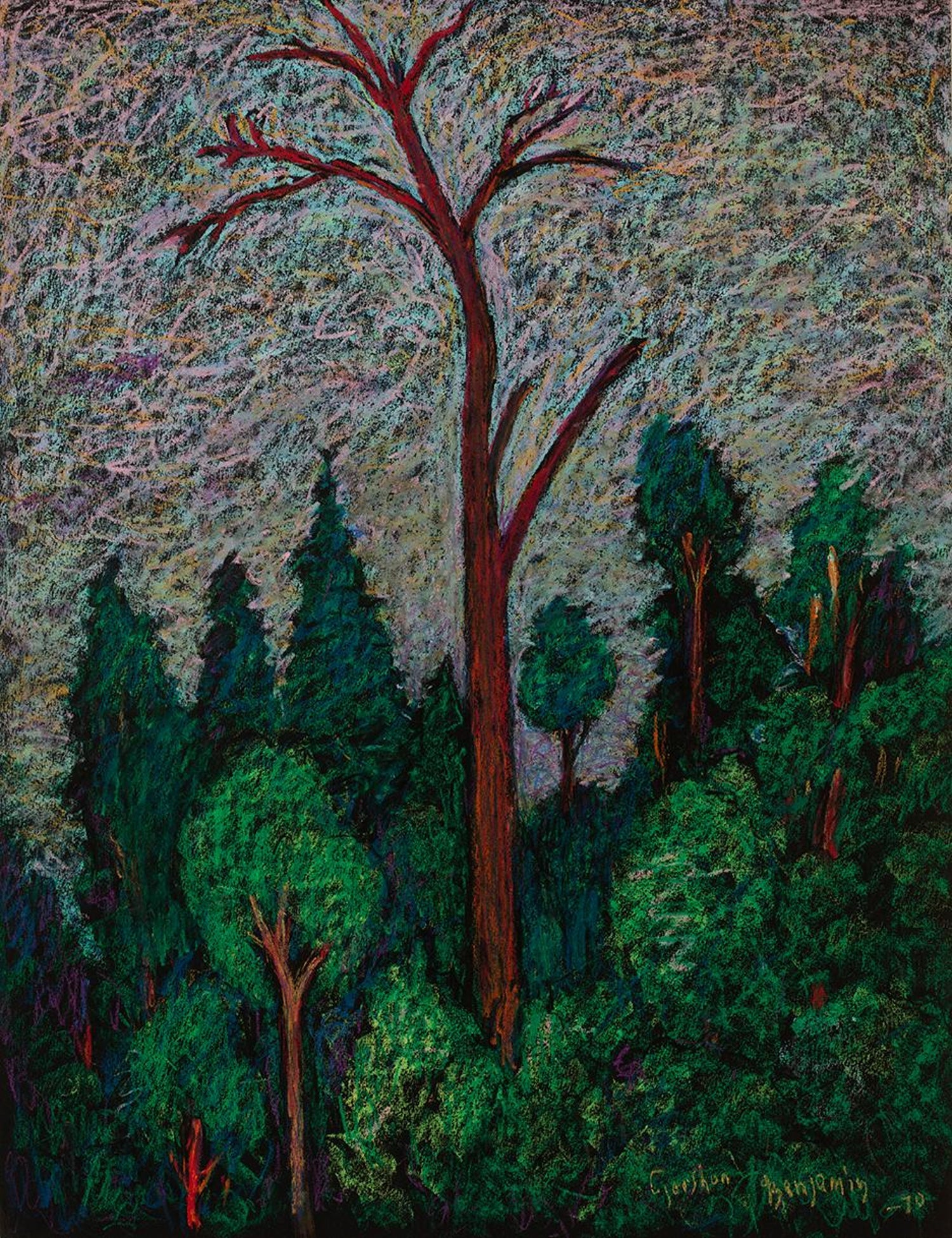 Night Trees