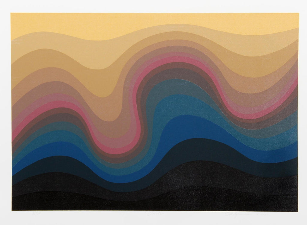 Limited Edition Architecture Kinetic Art Op Art Screenprint Lithograph Pol Bury