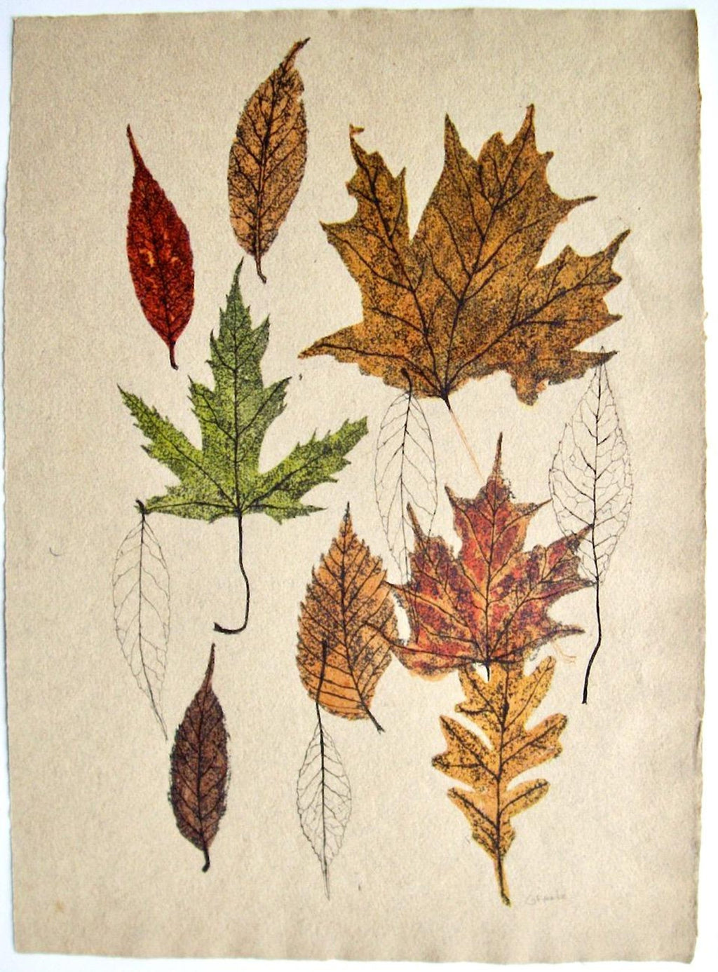 Maple Leaves Watercolor Painting 19th C. American Artist Charles DeWolf Brownell