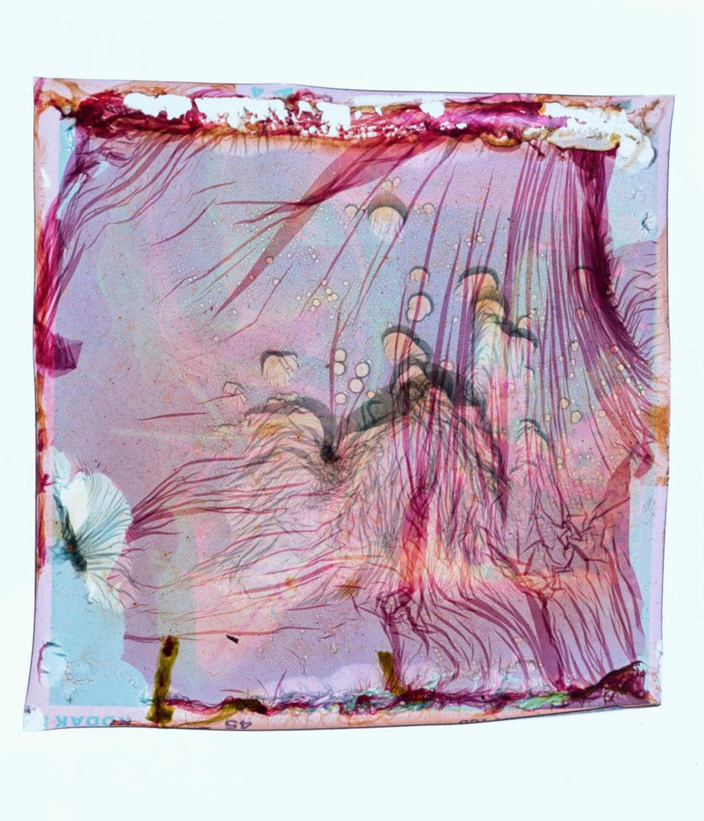 Untitled DYSMORPHOLOGIES SERIES (hair magnification in grid) Mounted to Aluminum