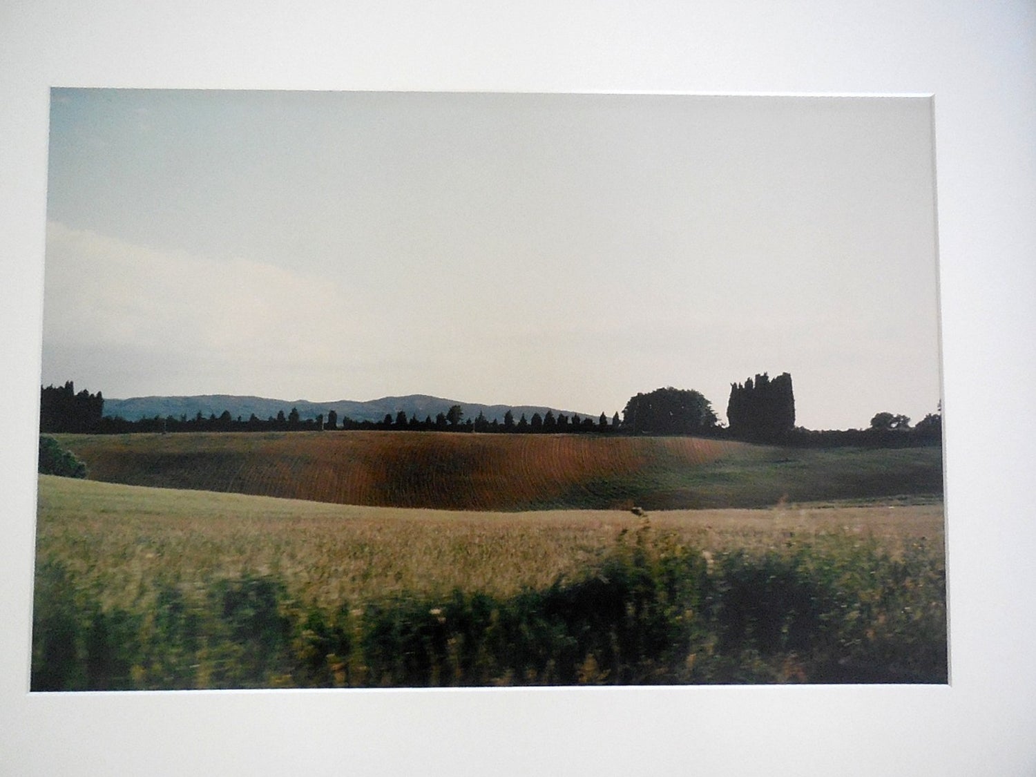 Tuscany, Statue, Siena 1996