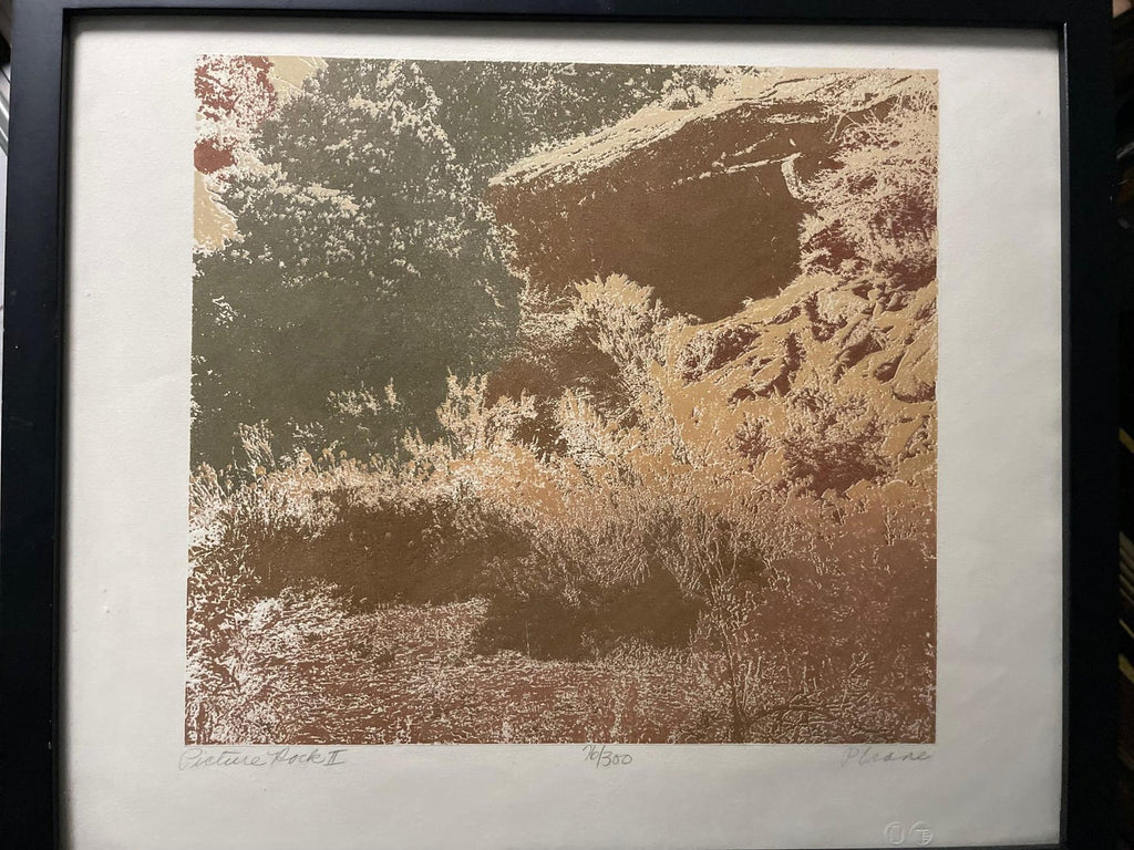 Israeli Modern Pop Art Aquatint Etching Cracked Earth Art Kadishman Lithograph