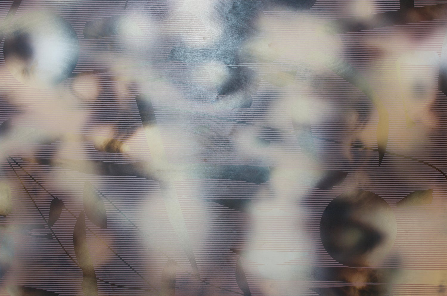 Untitled DYSMORPHOLOGIES SERIES (hair magnification in grid) Mounted to Aluminum