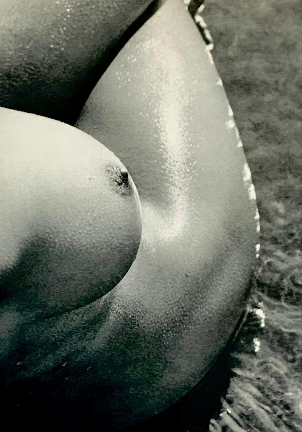Silver Gelatin Photograph Hand Signed Photo Pablo Picasso Profile Lucien Clergue
