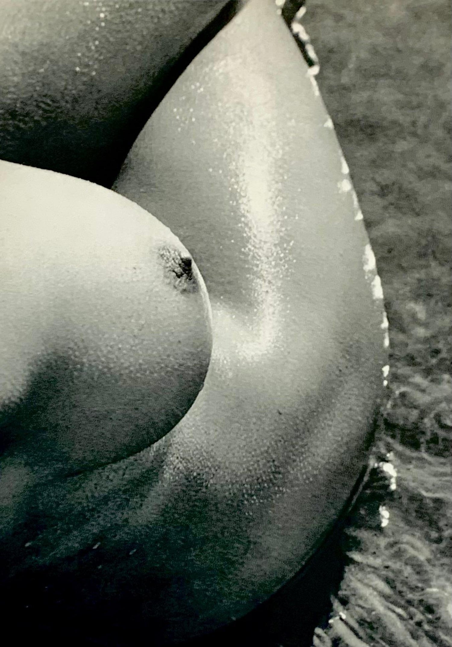 Silver Gelatin Photograph Hand Signed Photo Pablo Picasso Profile Lucien Clergue