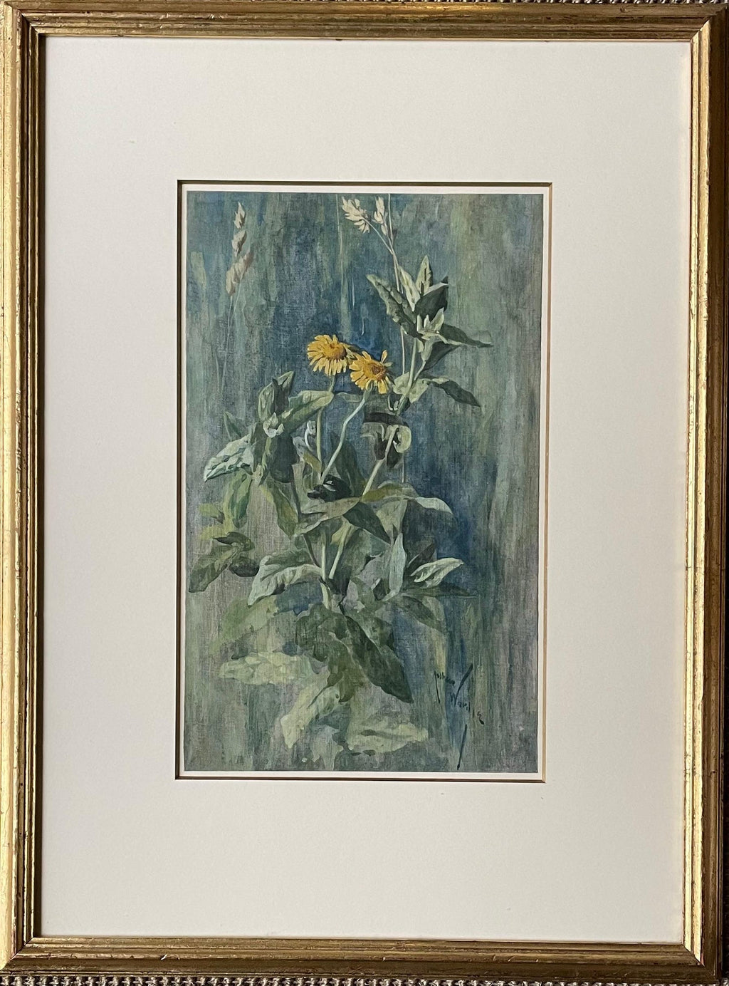 Plants, Bristol 1863 Watercolor Painting American Artist Charles DeWolf Brownell