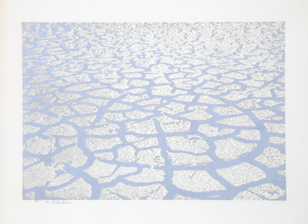 Israeli Modern Pop Art Aquatint Etching Cracked Earth Art Kadishman Lithograph