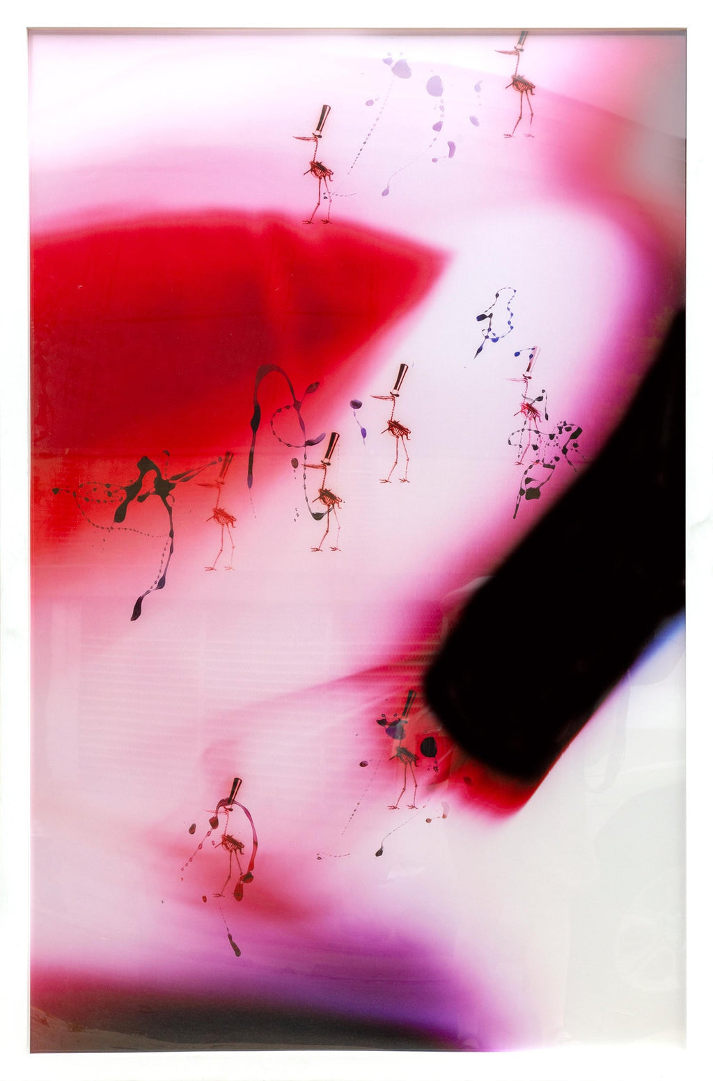 Untitled DYSMORPHOLOGIES SERIES (hair magnification in grid) Mounted to Aluminum