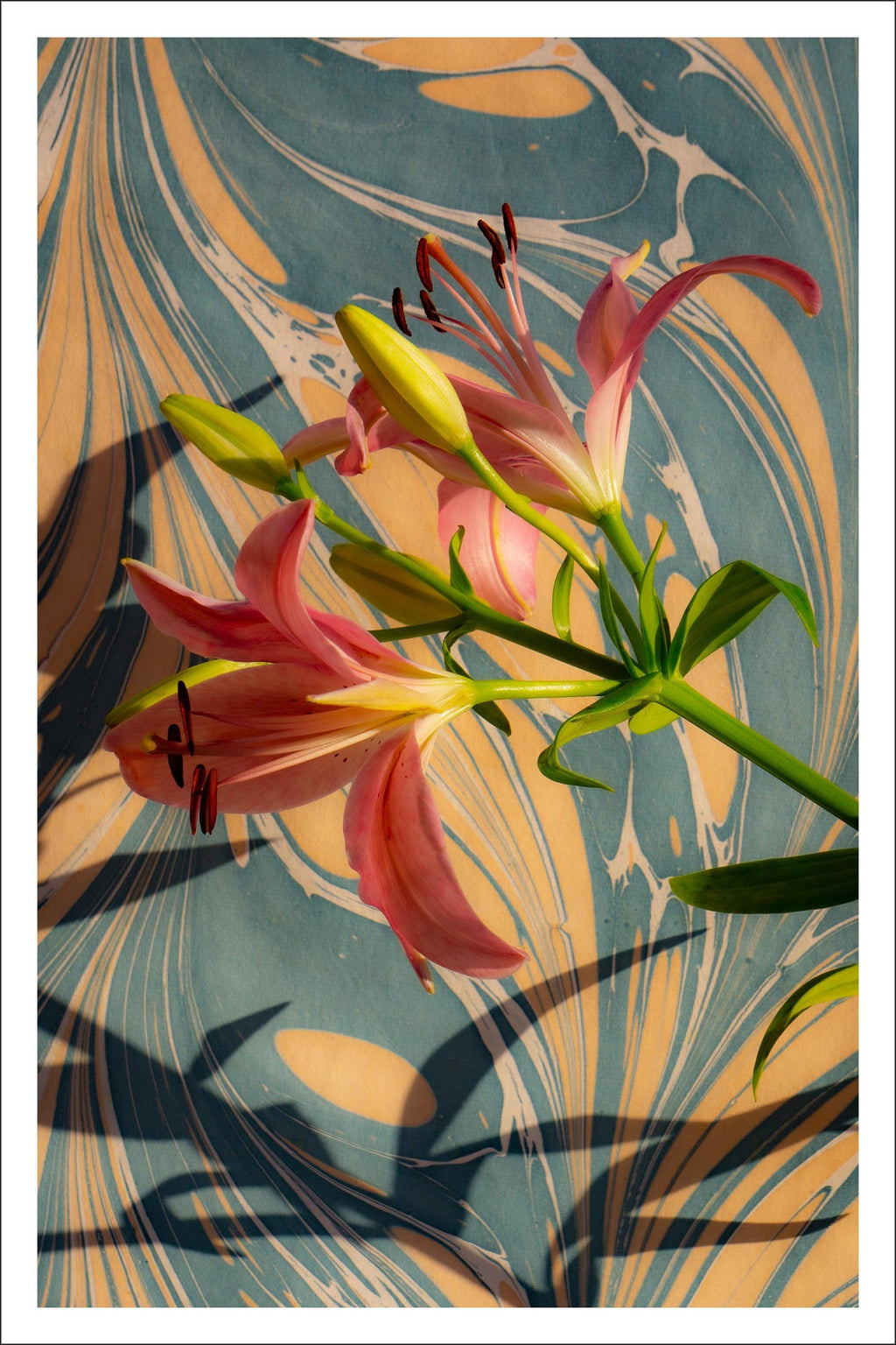 Basket of Lilies, Large Format Flowers Photo 24X20 Color Photograph Beach House