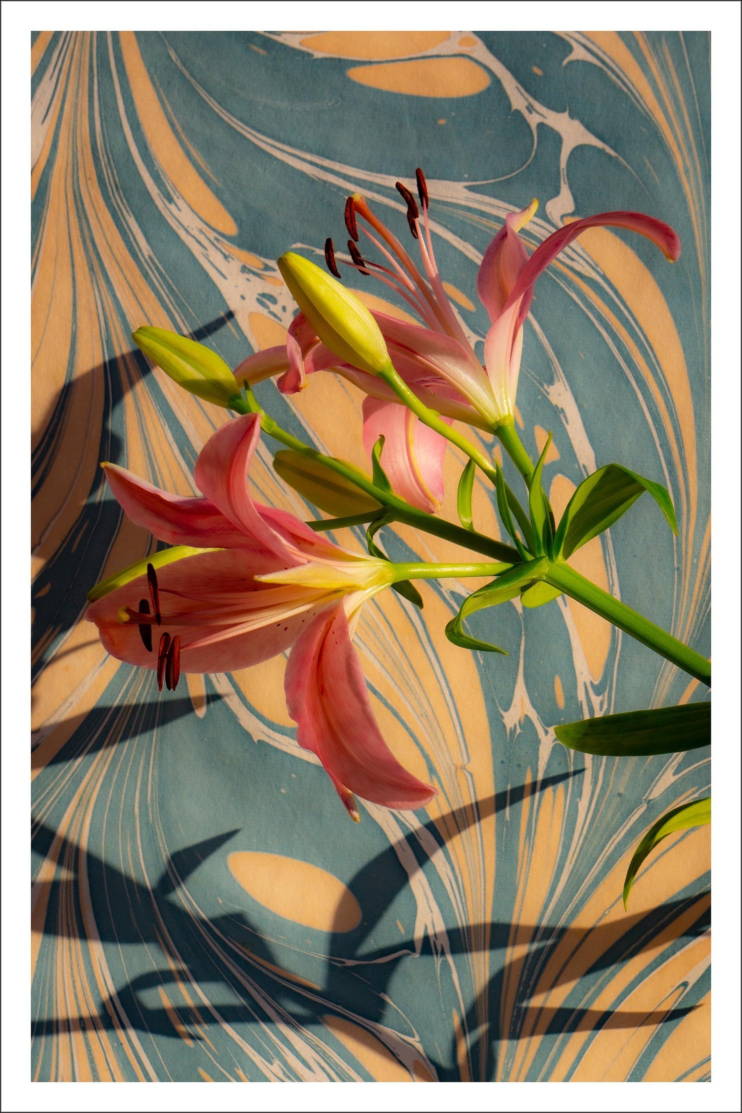 Basket of Lilies, Large Format Flowers Photo 24X20 Color Photograph Beach House