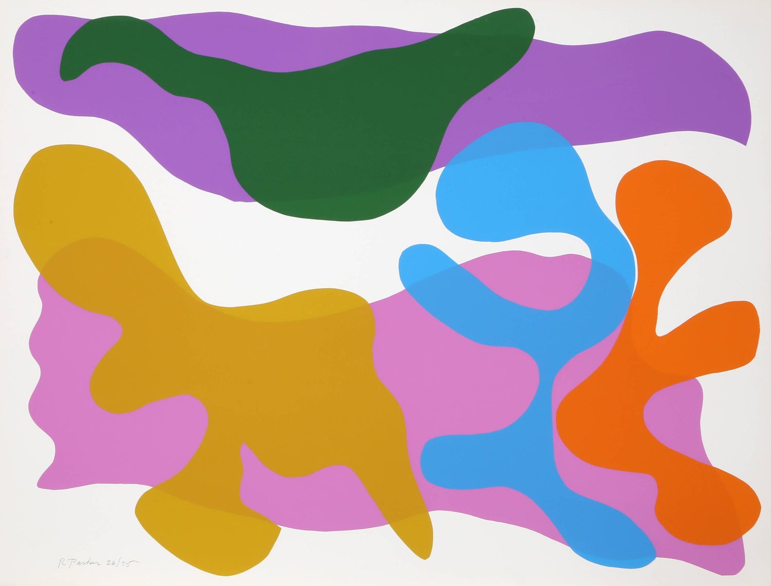 Large Abstract Vibrant Colorful Silkscreen Serigraph Print Japanese Garden