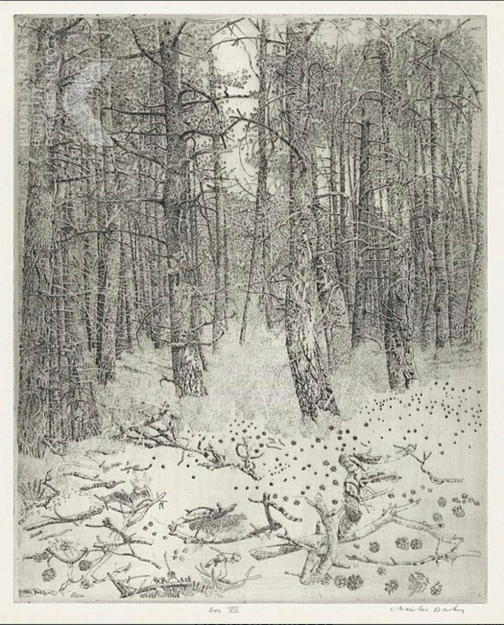 1920 German Expressionist Figurative Lithograph "The Forest" Paul Kleinschmidt