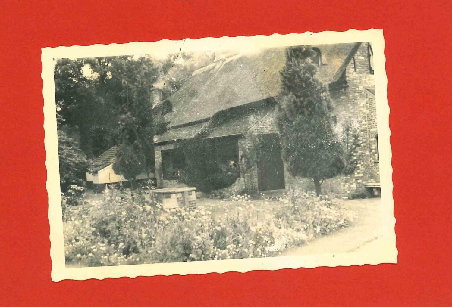 Vintage Photo Archive Grandma Moses Folk Art Artist Photograph Collection