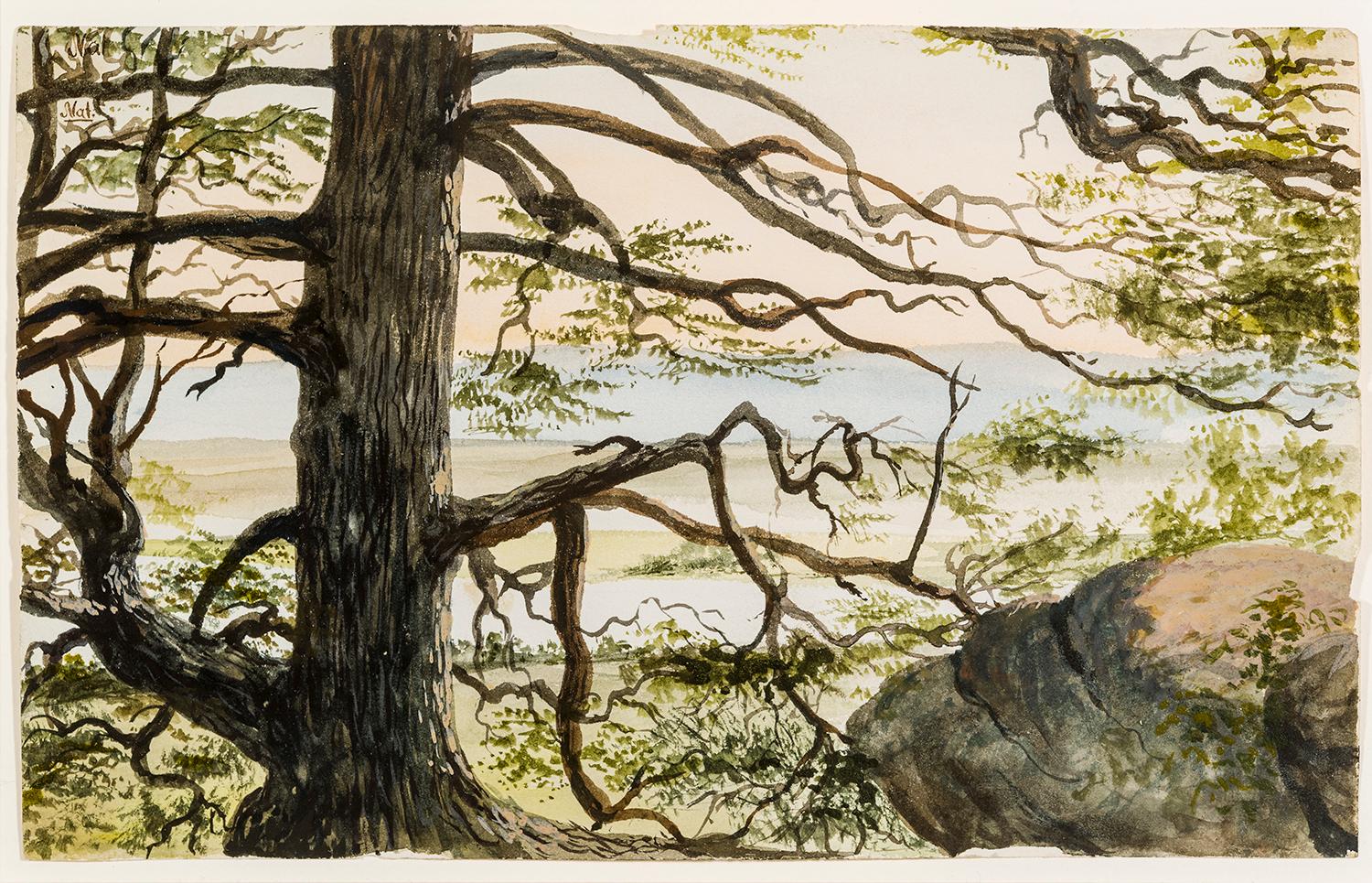 Maple Leaves Watercolor Painting 19th C. American Artist Charles DeWolf Brownell