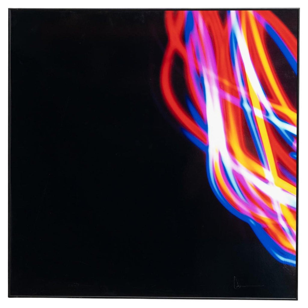 Untitled DYSMORPHOLOGIES SERIES (hair magnification in grid) Mounted to Aluminum