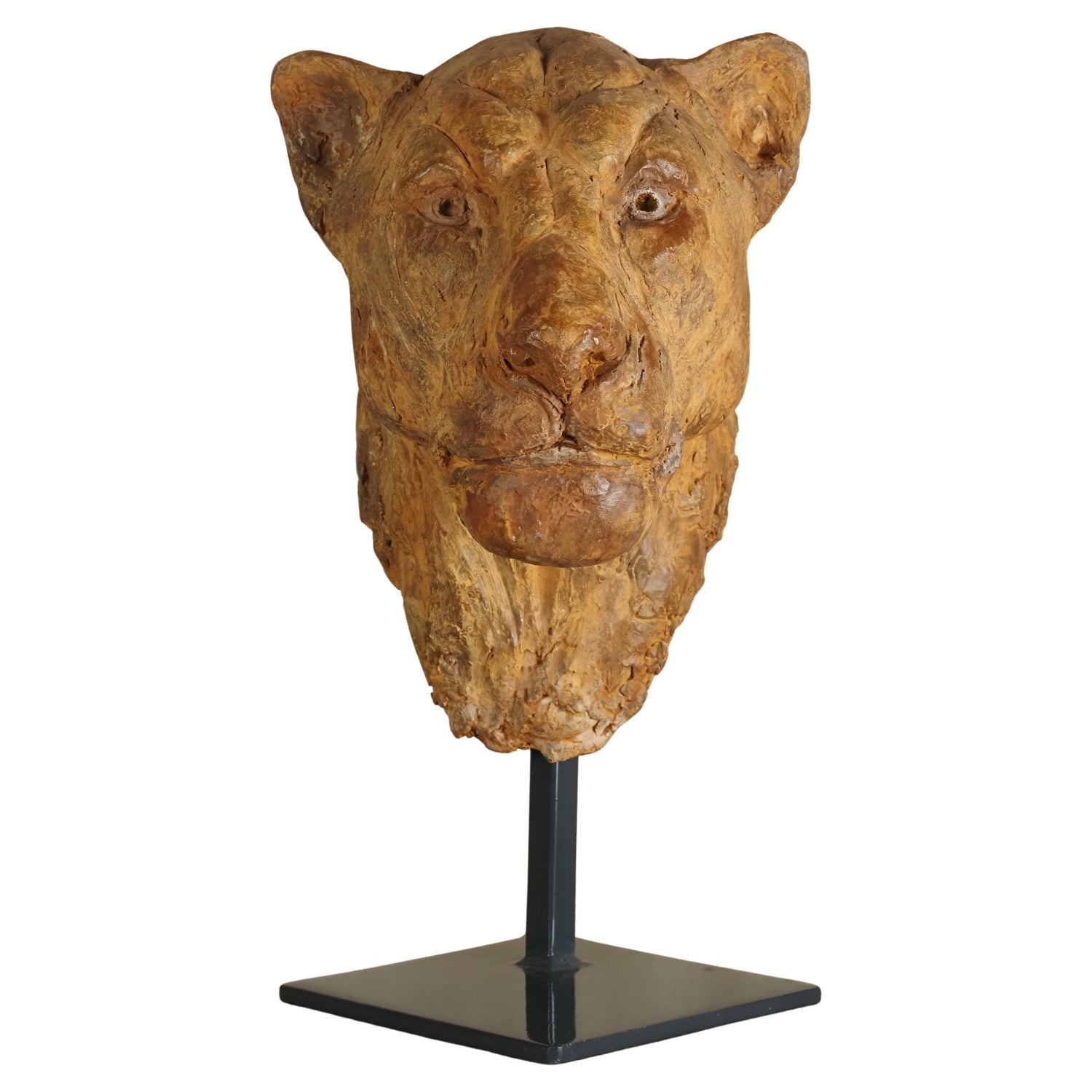 Lions Head Big Game Trophy Natural Sisal Fiber Sculpture Lion Anne Andersson Art