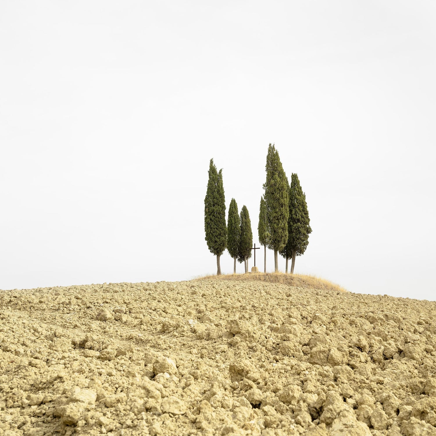 Tuscany, Hillside, 1996