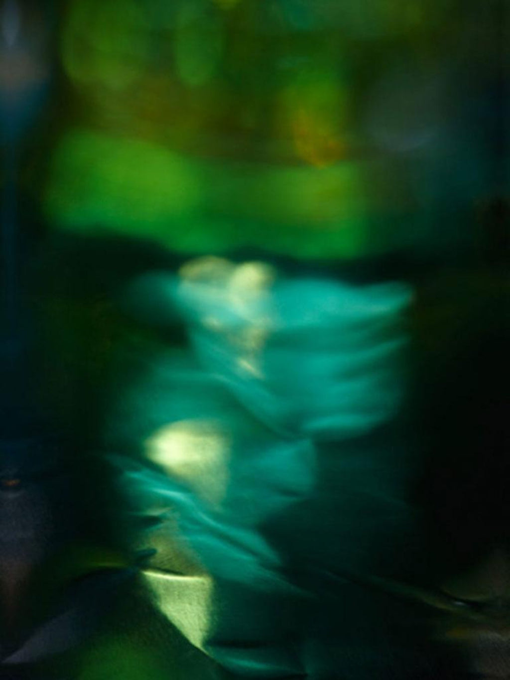 Lights in Motion Photograph Chromo Photo Kodak Professional Endura