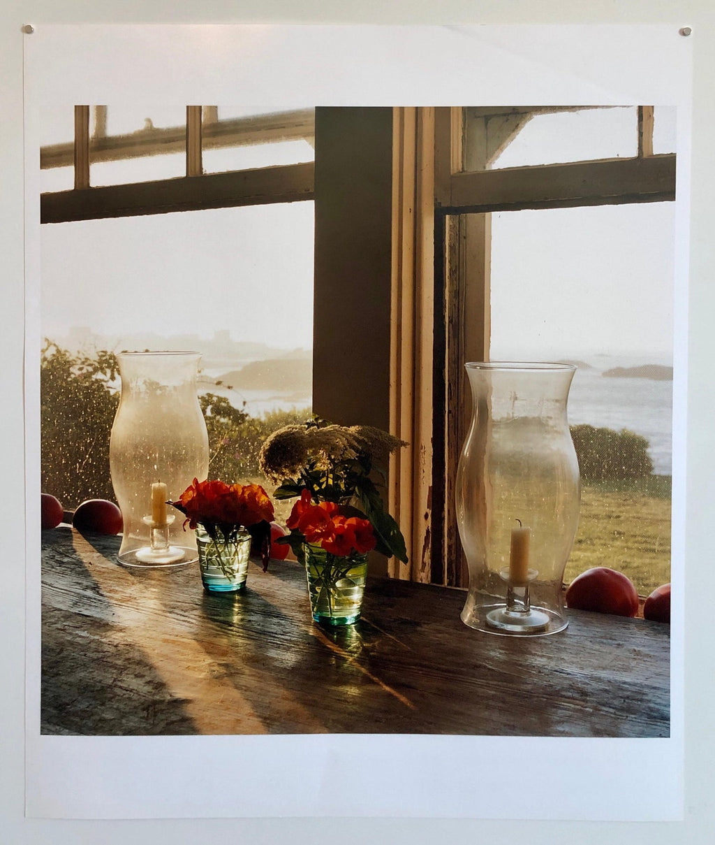 Last Light Nasturtiums, Large Format Photo 24X20 Color Photograph Beach House RI