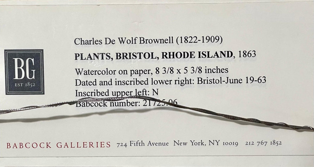 Plants, Bristol 1863 Watercolor Painting American Artist Charles DeWolf Brownell