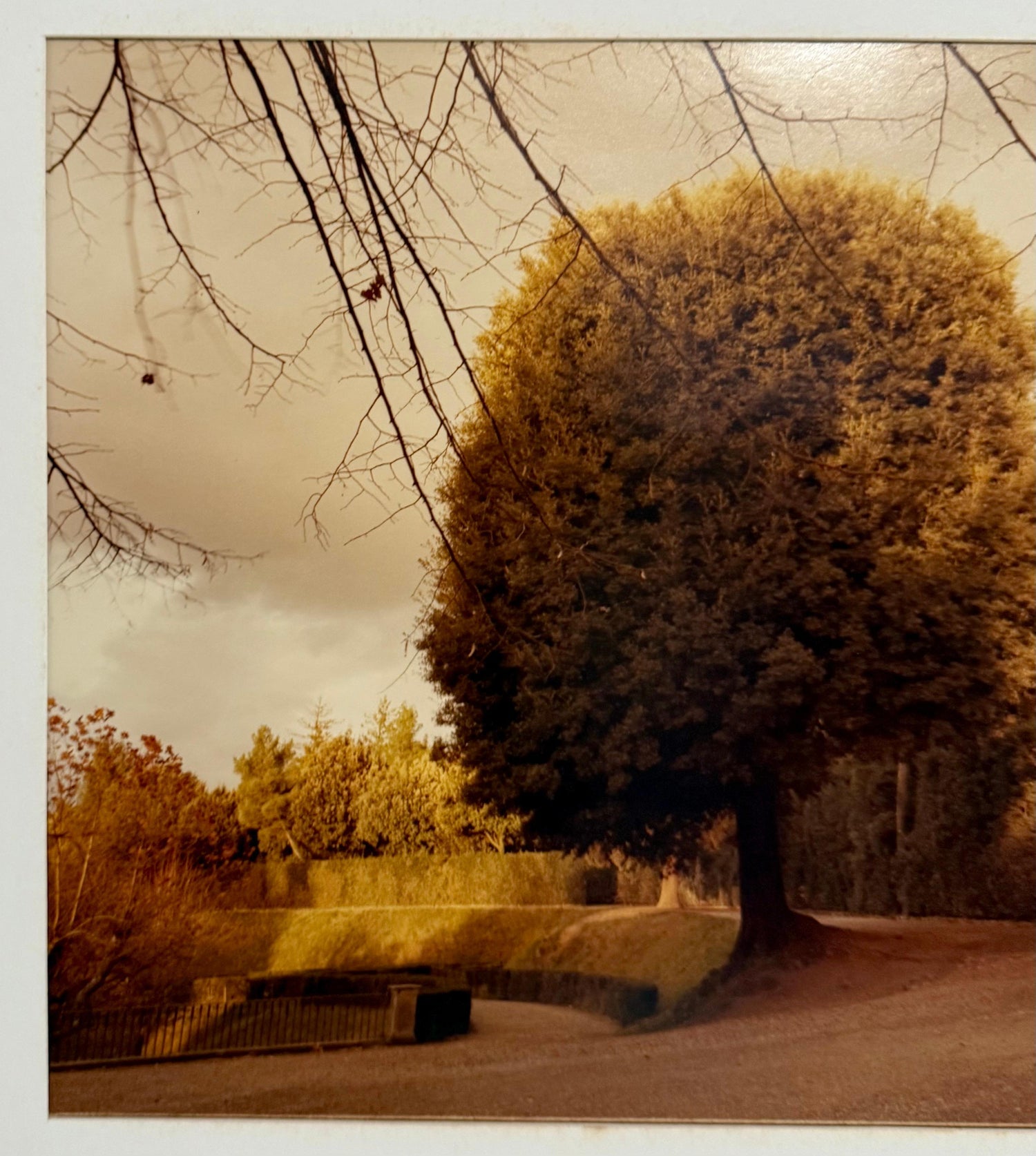 Mitchell Epstein Signed Vintage Color Photograph C Print Photo Florence Italy