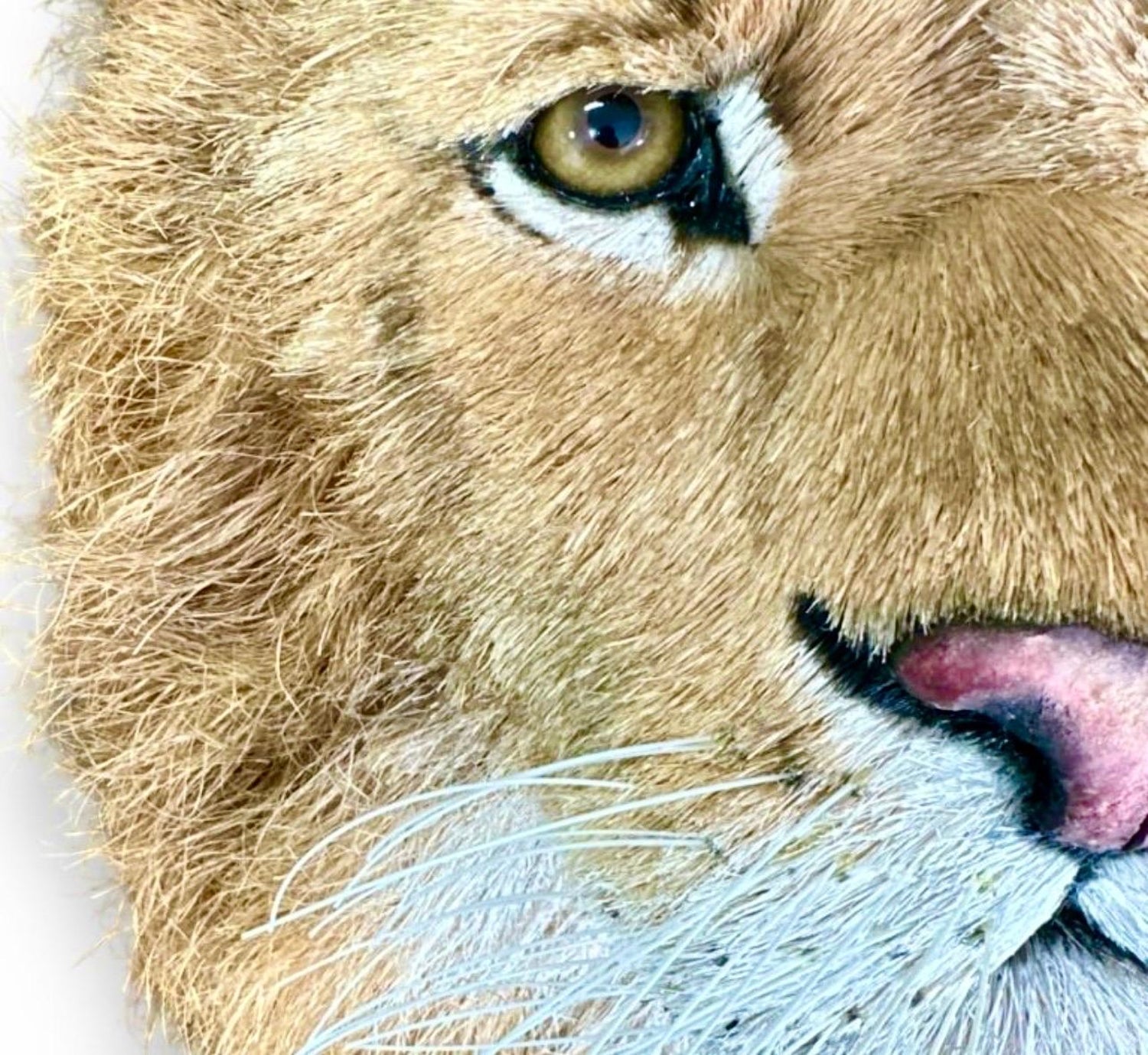 Lions Head Big Game Trophy Natural Sisal Fiber Sculpture Lion Anne Andersson Art
