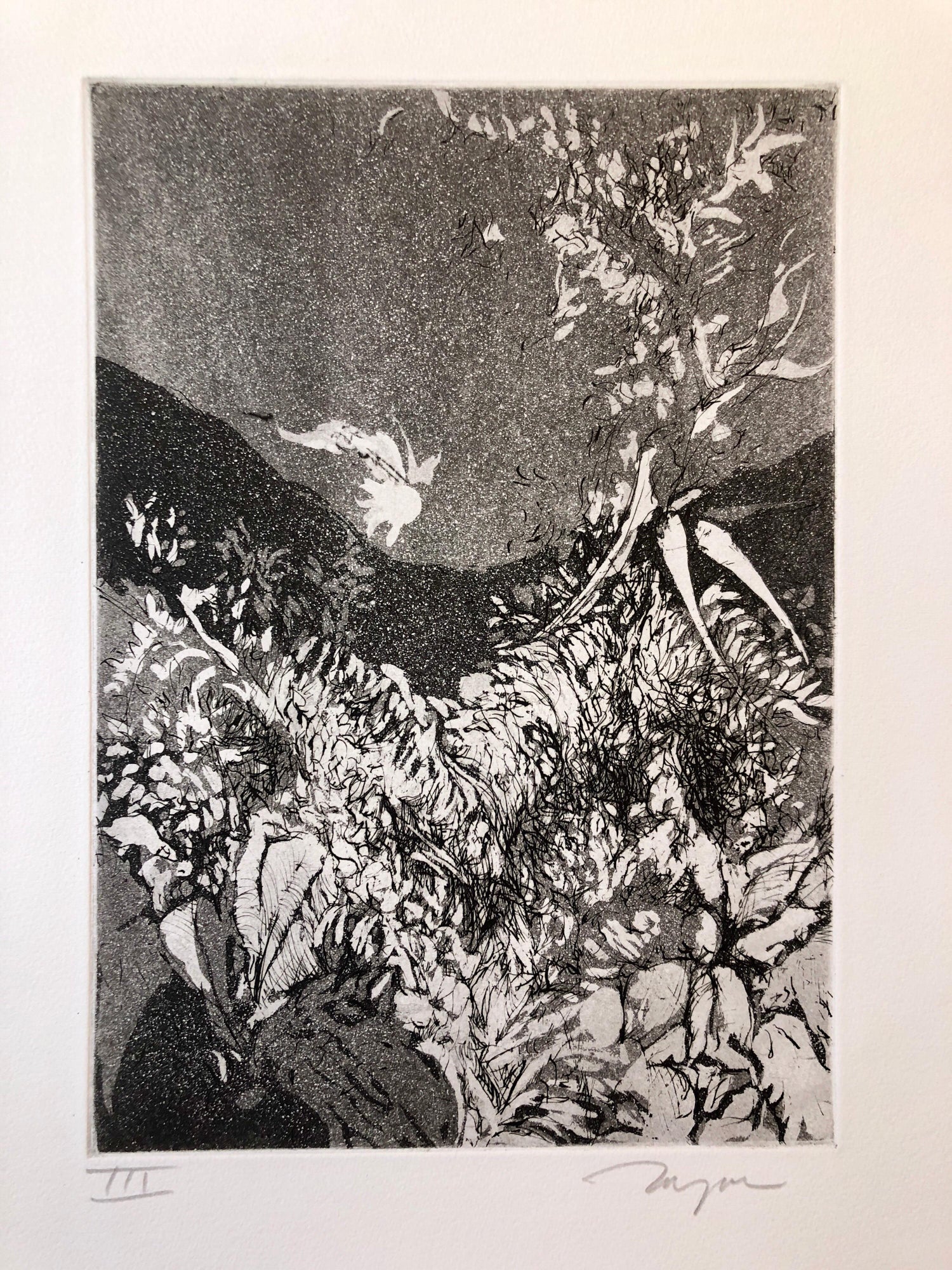 Portraits Erotic Vignettes French Israeli Surrealist Aquatint Etching Le Colonel