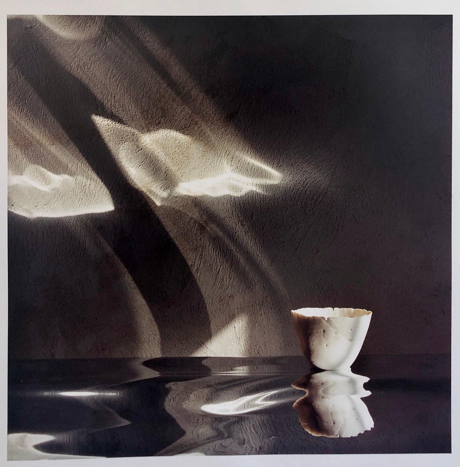 Conundrum, Floral Large Format Photo 24X20 Color Photograph Beach House RI