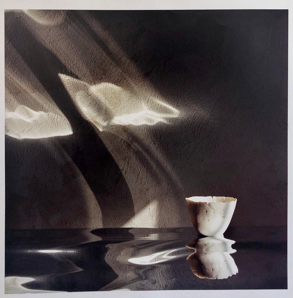 Snipes Vessel, Ceramic Large Format Photo 24X20 Color Photograph Beach House