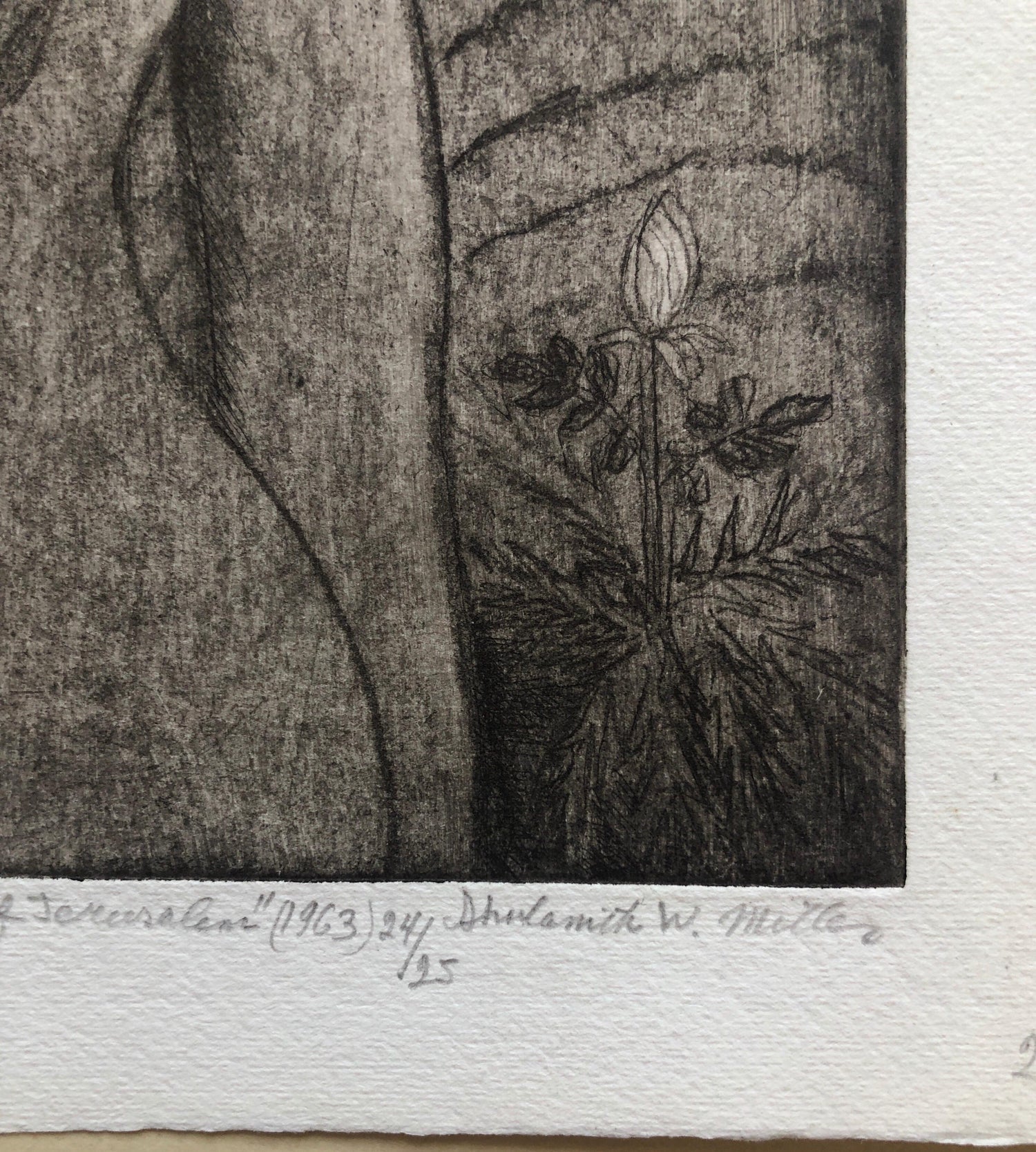 Modernist "I Am Black But Comely" Etching Israeli Judaica Bezalel School Woman