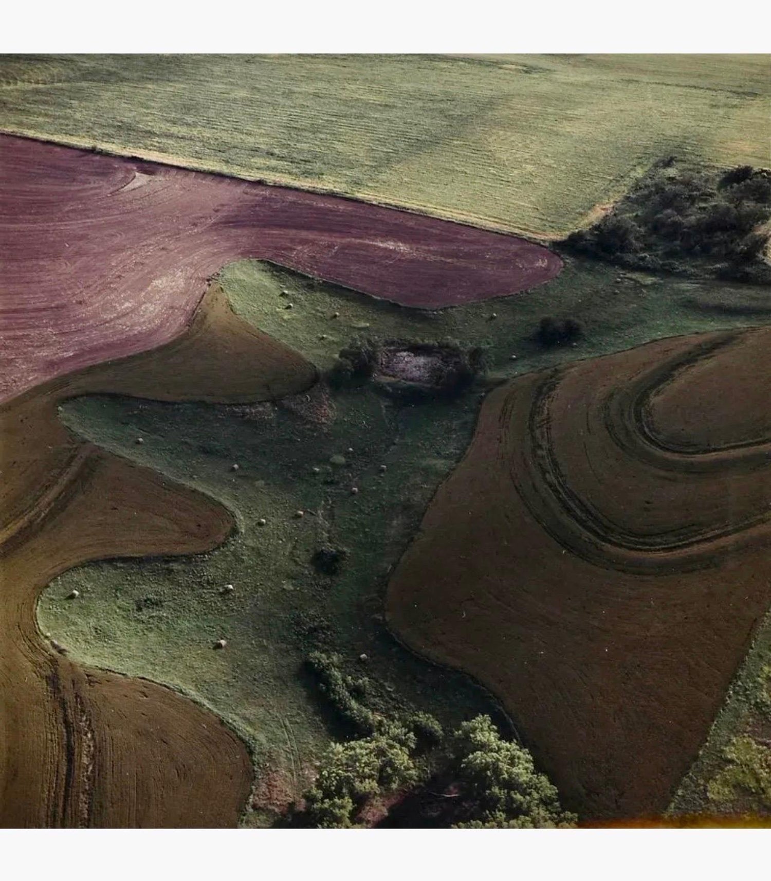 Vintage Color Abstract Art Landscape Photography Large C Print Photo Terry Evans