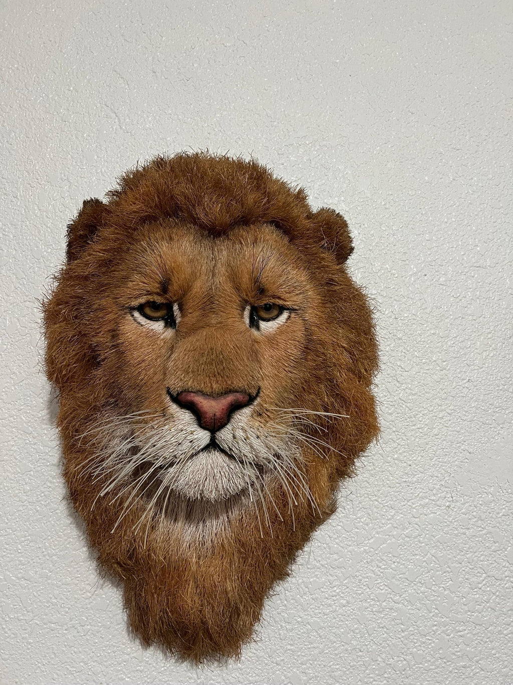 Lions Head Big Game Trophy Natural Sisal Fiber Sculpture Lion Anne Andersson Art