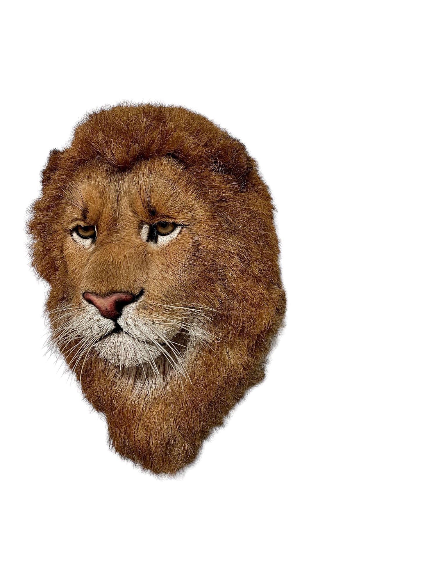 Lions Head Big Game Trophy Natural Sisal Fiber Sculpture Lion Anne Andersson Art