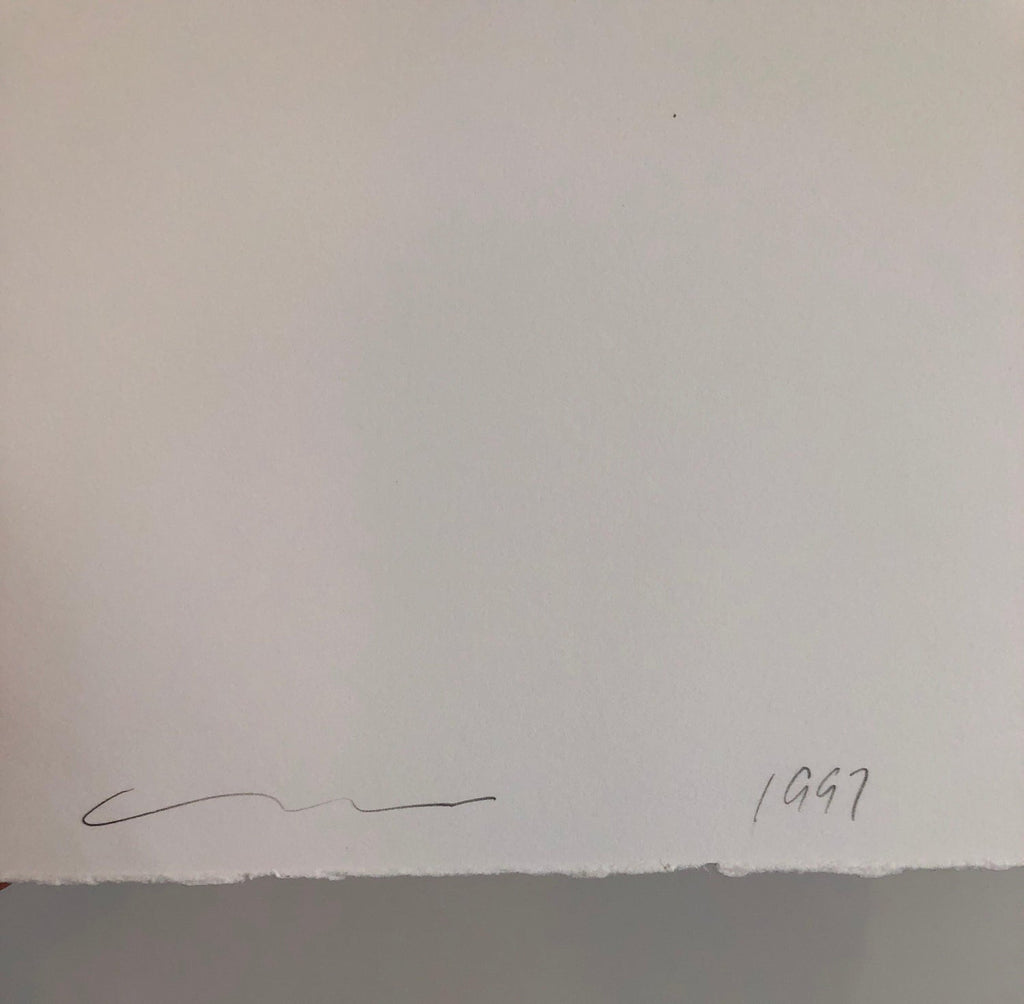Location Proposal Iris Print Ed. 12 Hand Signed Architectural Study
