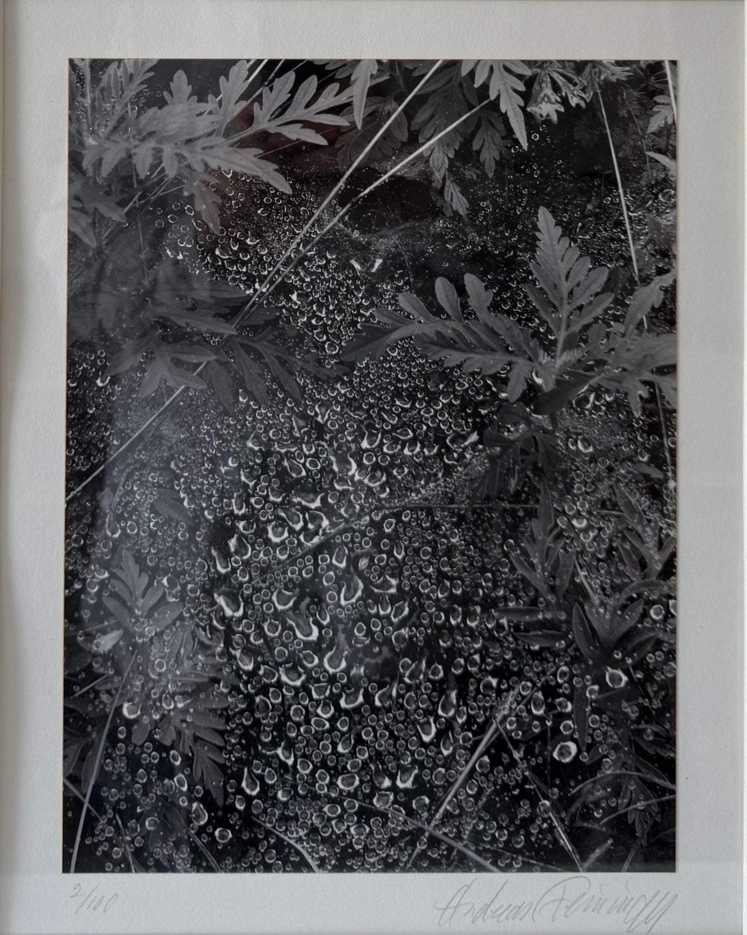 American Photographer Andreas Feininger Silver Gelatin Vintage Print