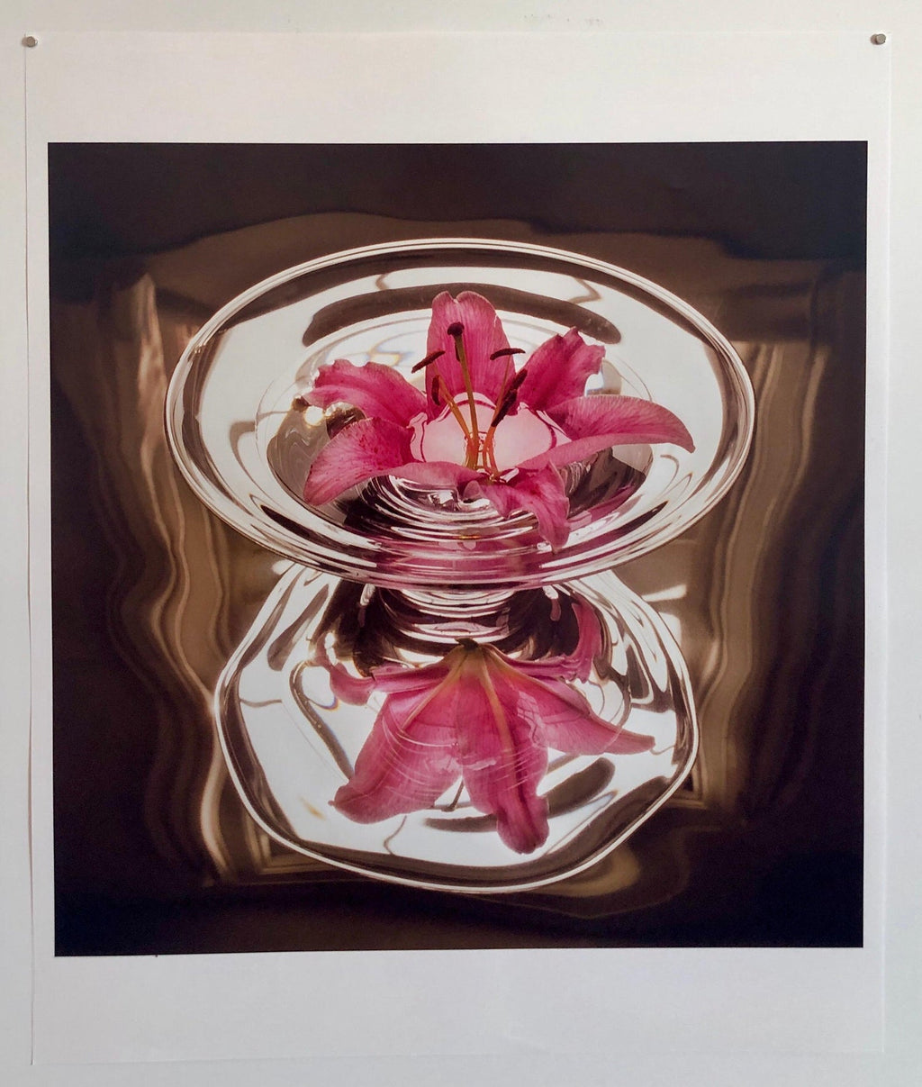Floating Lily, Large Format Photo 24X20 Color Photograph Beach House