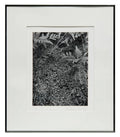 American Photographer Andreas Feininger Silver Gelatin Vintage Print