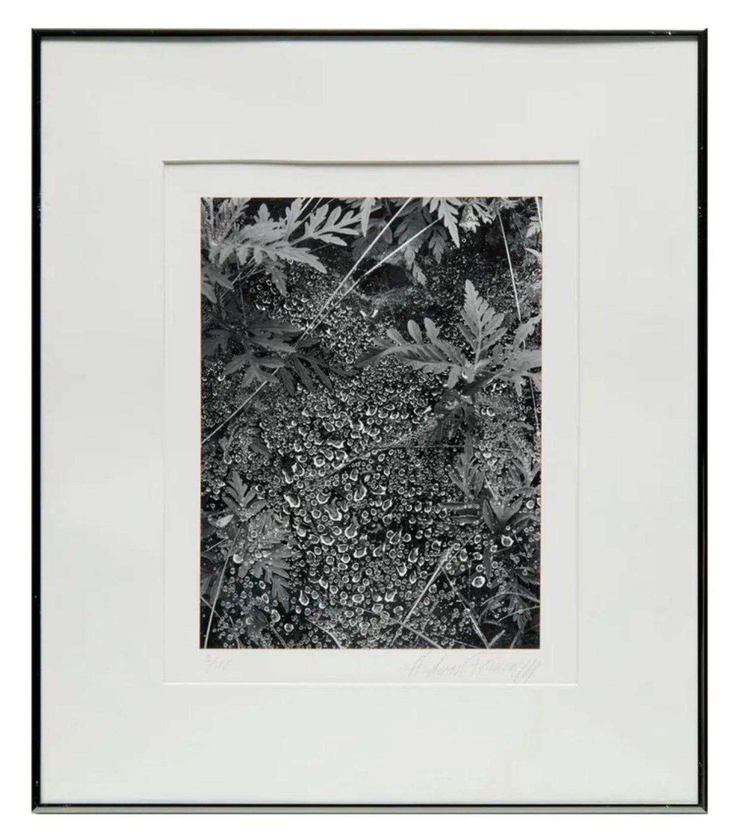 American Photographer Andreas Feininger Silver Gelatin Vintage Print
