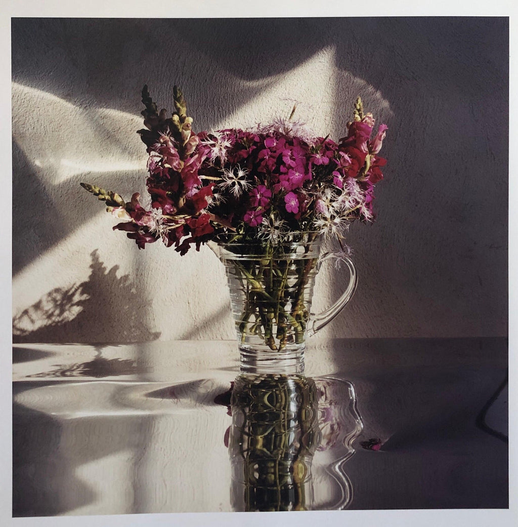 White Cosmo, Cocktail, Large Format Photo 24X20 Color Photograph Beach House