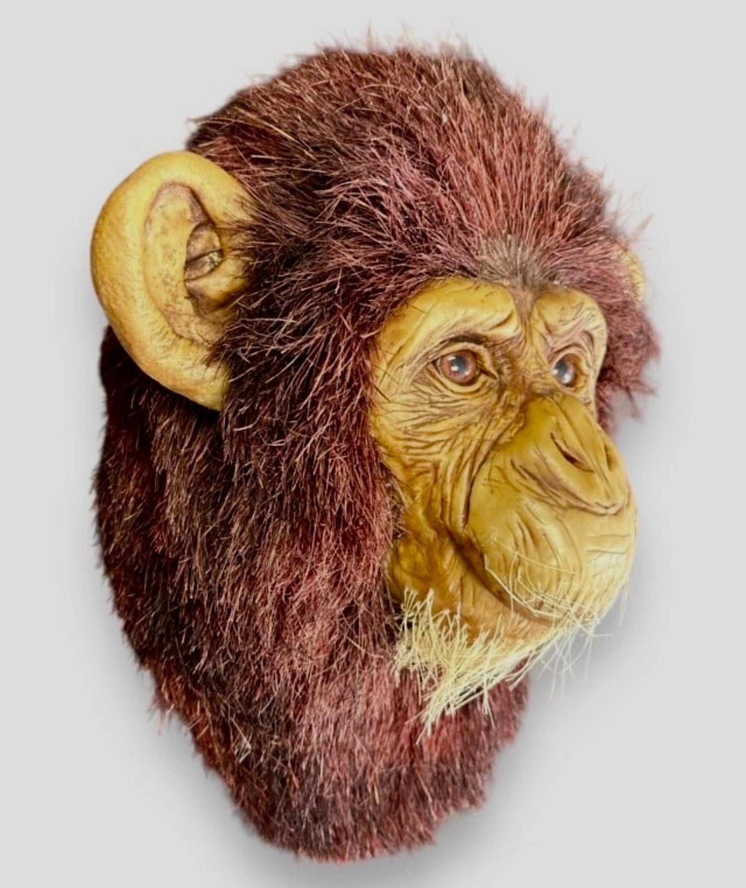 Monkey Head Natural Sisal Fiber Clay Sculpture Chimpanzee Anne Andersson Art
